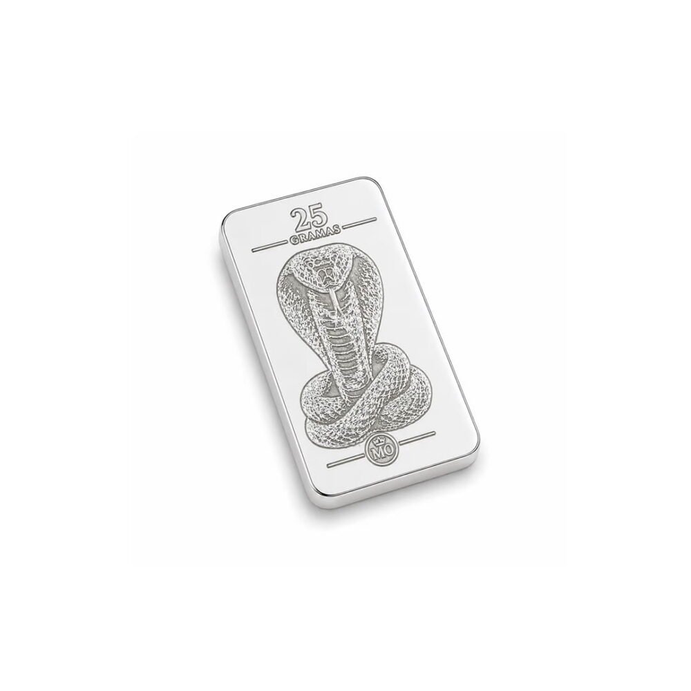 Barra Personalizada Serpente de Prata Pura 25g (Ag999)